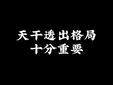 中出 什麼意思